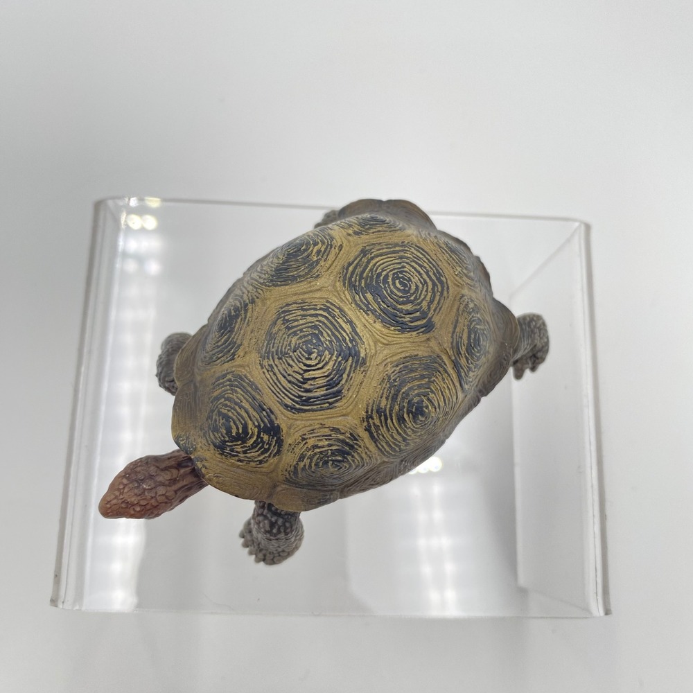 Schleich Tortoise Turtle Toy Animal Figure 2008 Reptile Woodland Desert Play - Picture 2 of 6